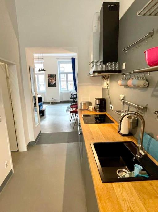 Klimatisierte Sehr Zentrale Wohnung-loftstyle- * Viena